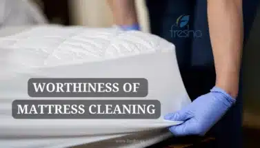 Fresho Cleaning services Blog Image