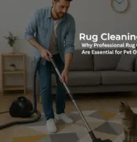 Fresho Cleaning Services Blogs