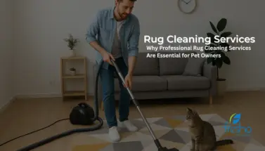Fresho Cleaning services Blog Image