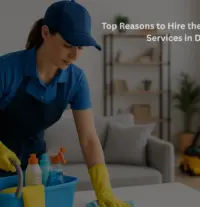 Fresho Cleaning Services Blogs