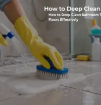 Fresho Cleaning Services Blogs
