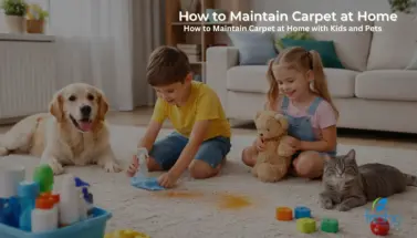 Fresho Cleaning services Blog Image