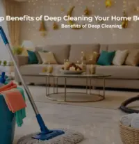 Fresho Cleaning Services Blogs