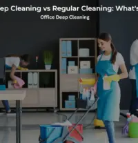 Fresho Cleaning Services Blogs